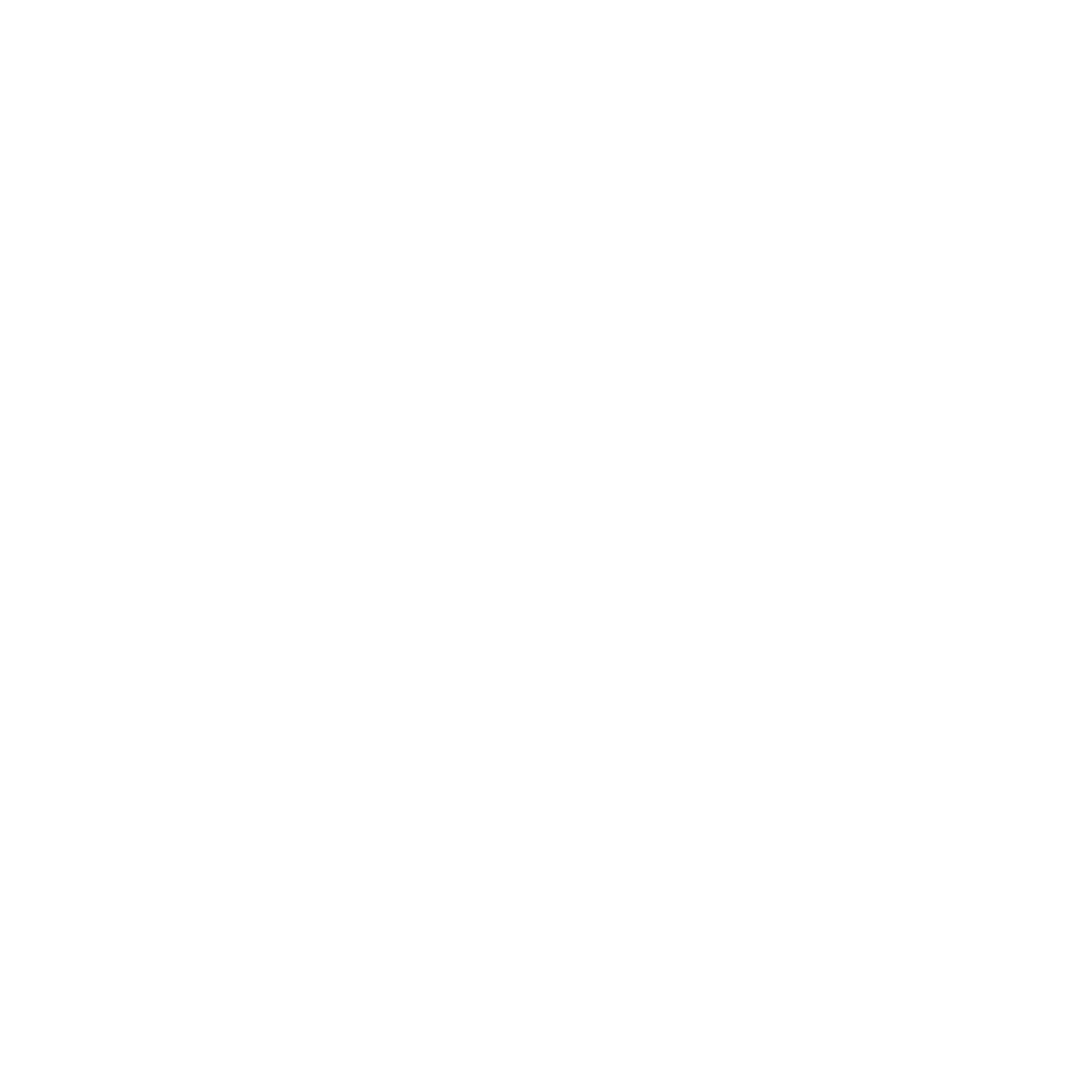 AMI Labs